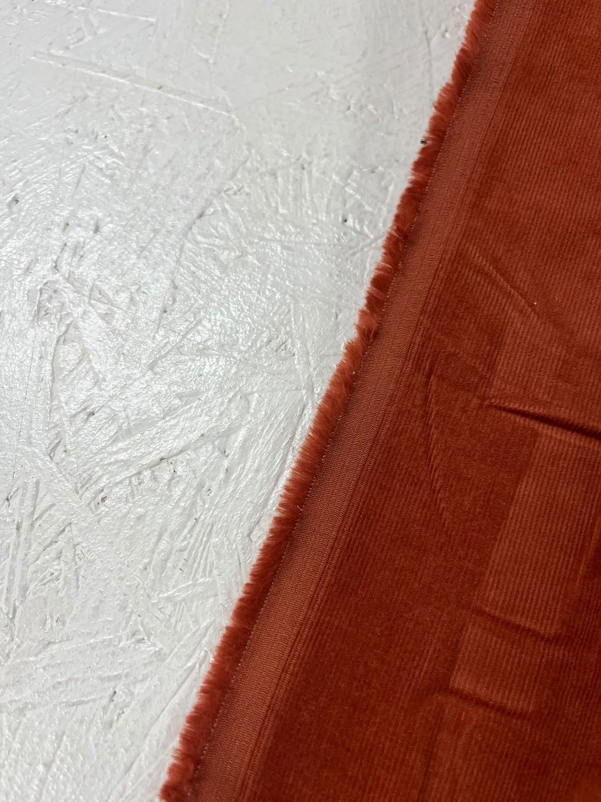 Micropana teja - detalle orillo