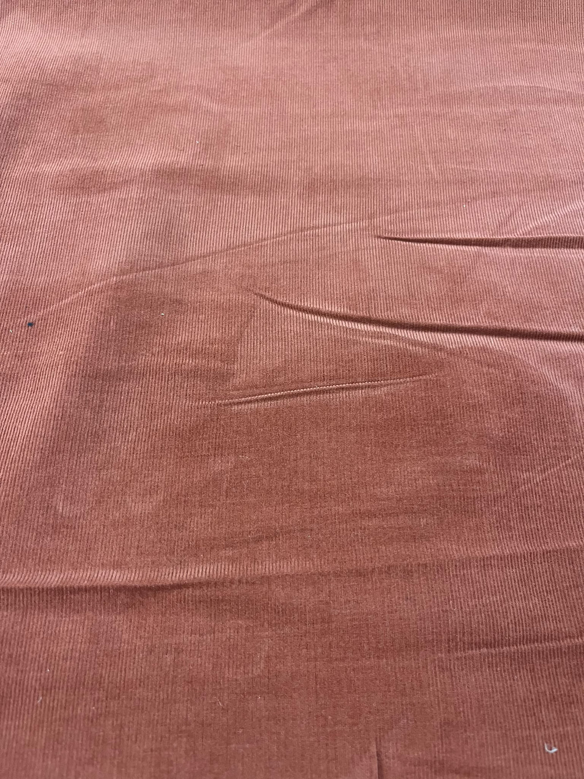 Micropana teja - detalle trama